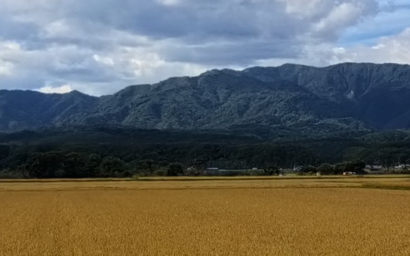 Ace Pro 2の写真から、ほかの2台と同じ山の部分を切り出したもの