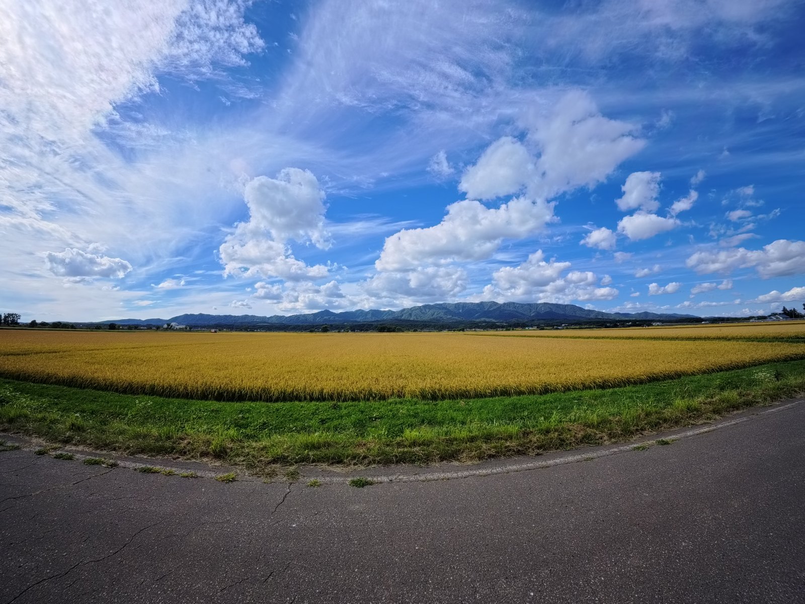 Insta360 Ace Pro 2を普通に構えて撮った写真。超広角で、足元の道路まで写っている