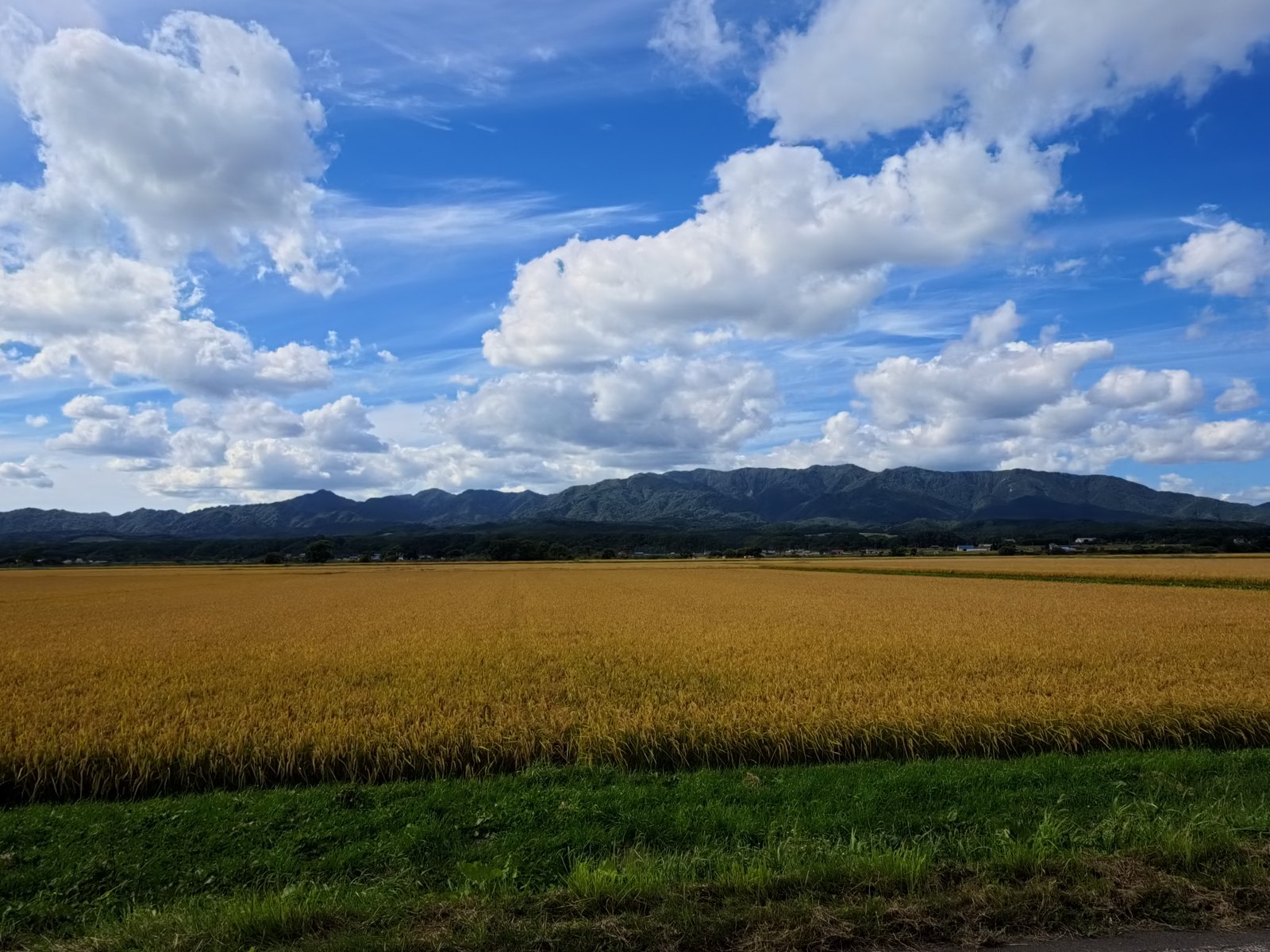 Insta360 Ace Pro 2で撮った同じ田んぼと山並みの景色。空の青が濃い