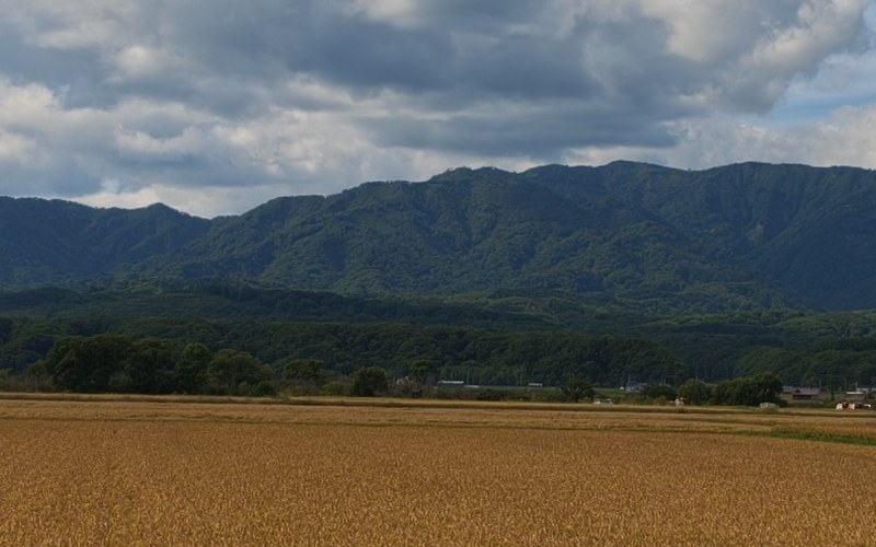 Luna Ultraの写真から、ほかの2台と同じ山の部分を切り出したもの。木の一本一本まで分かる