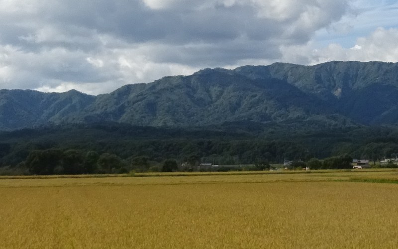 WX350の写真から、ほかの2台と同じ山の部分を切り出したもの